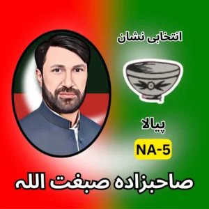 NA-05 PTI candidate symbol Election