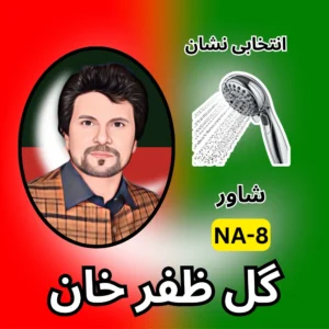 NA-08 PTI candidate symbol Election