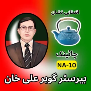 NA-10 PTI candidate symbol Election