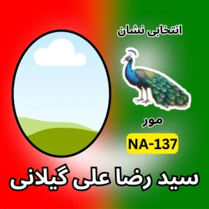 NA-137 PTI candidate symbol Syed Raza Ali Gilani