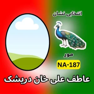 NA-187 PTI candidate symbol Atif Ali