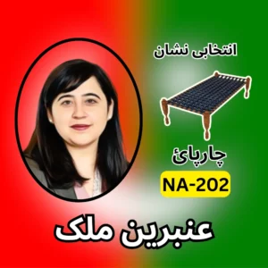 NA-202 PTI candidate symbol Anbreen Malik