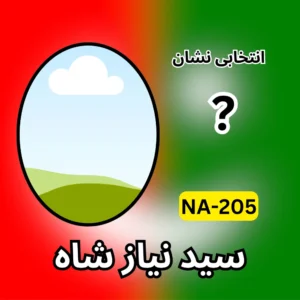 NA-205 PTI candidate symbol
