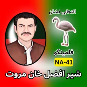 NA-41 PTI candidate symbol Election