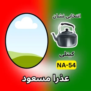 NA-54 PTI candidate symbol Azra Masood