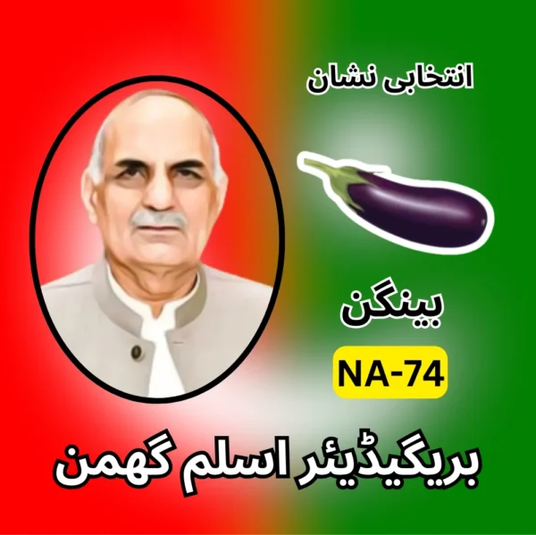 NA-74 PTI candidate symbol Election