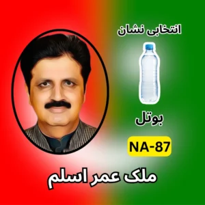 NA-87 PTI candidate symbol election